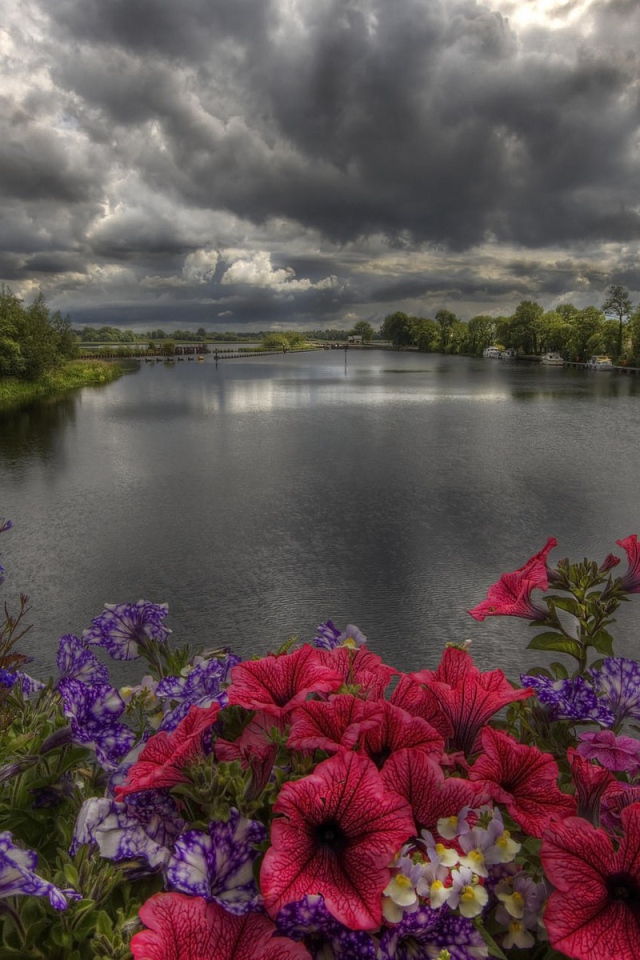 Пасмурные облака над озером с цветами на берегу 