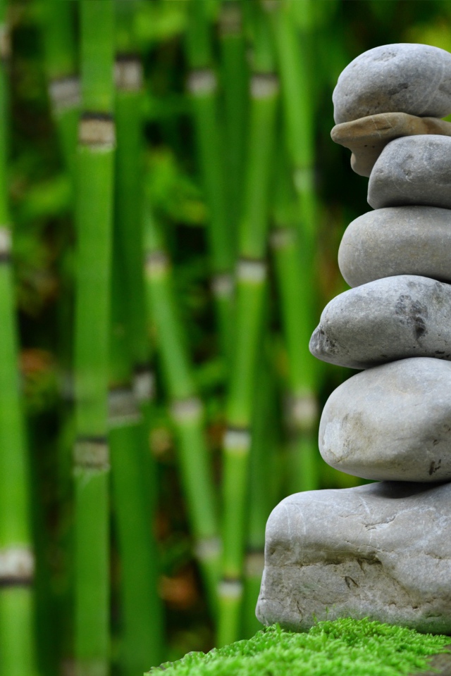 Серые камни на фоне зеленого бамбука