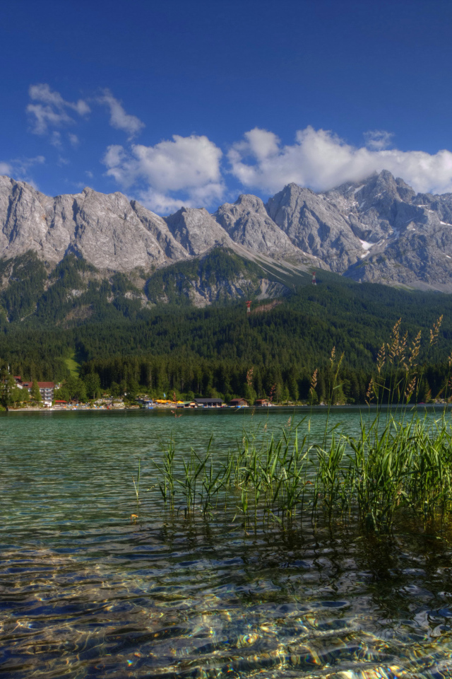Зеленый лес у горного озера, Германия