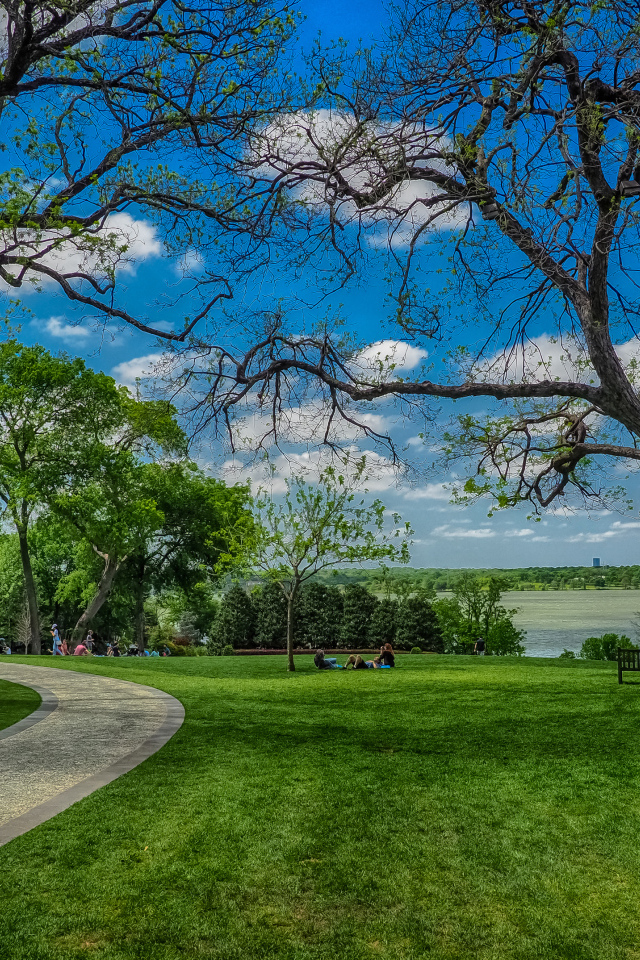 Зеленые газоны в парке на фоне красивого голубого неба