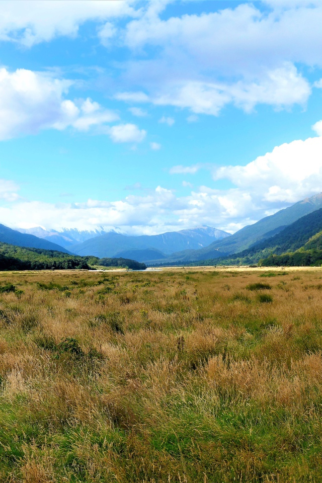 Зеленые природные просторы Новой Зеландии 