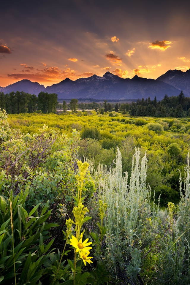 Зеленая природа и горы в лучах солнца 