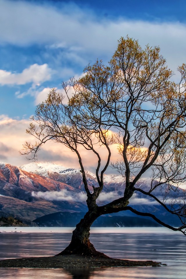 Островок с деревом в озере на фоне гор