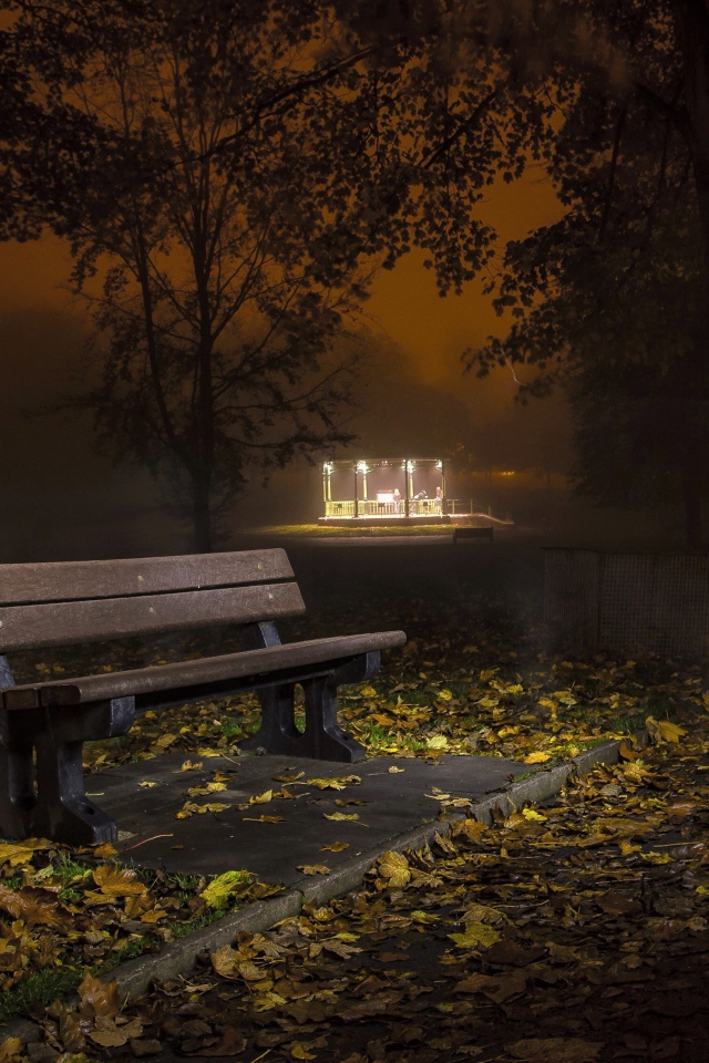 Одинокая скамейка в осеннем парке ночью