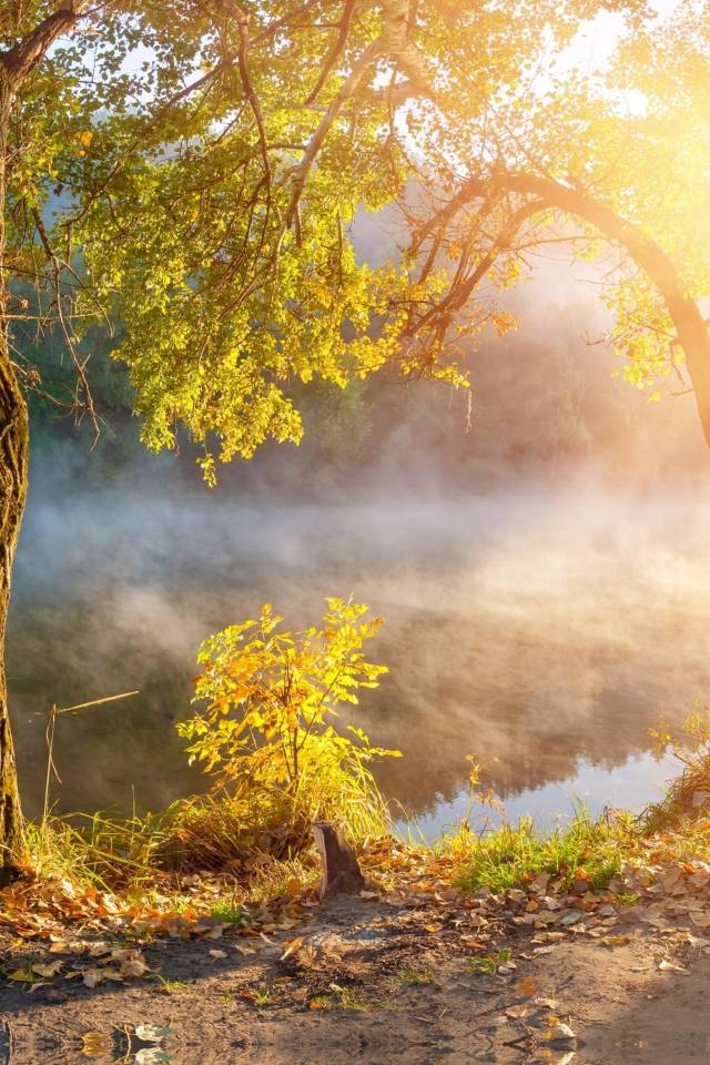 Утренний туман над рекой в лучах солнца осенью