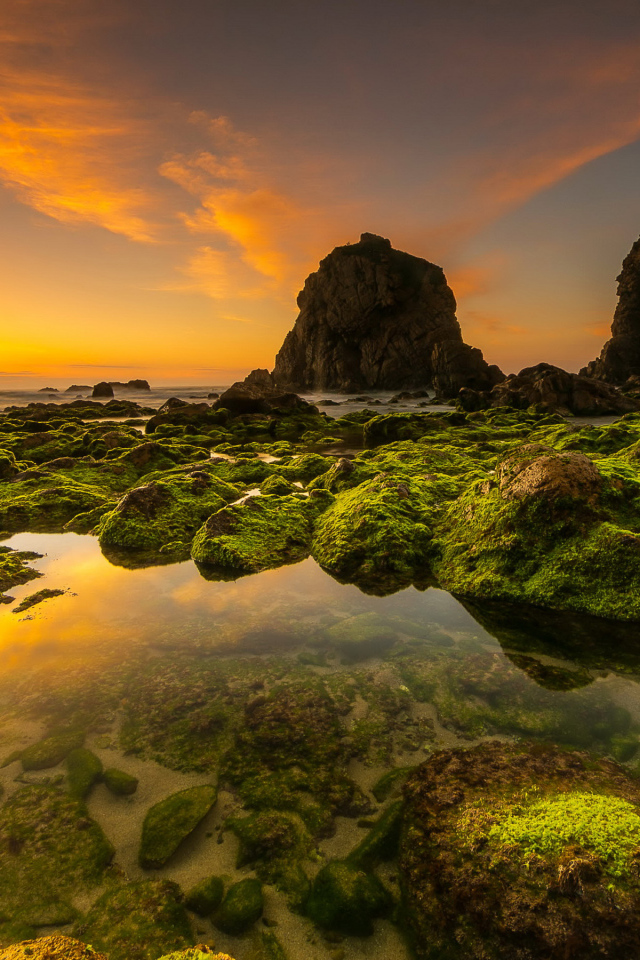 Покрытые мхом камни на морском берегу под красивым небом