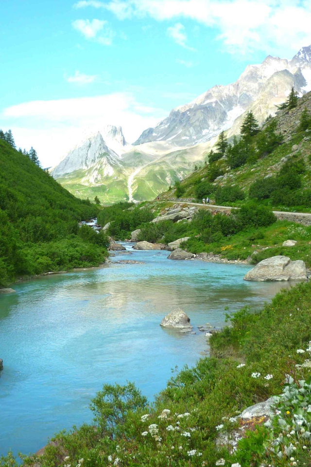 Горная река меж зеленых берегов 