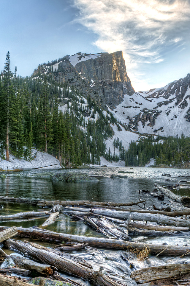 Старые бревна в воде на фоне заснеженных гор