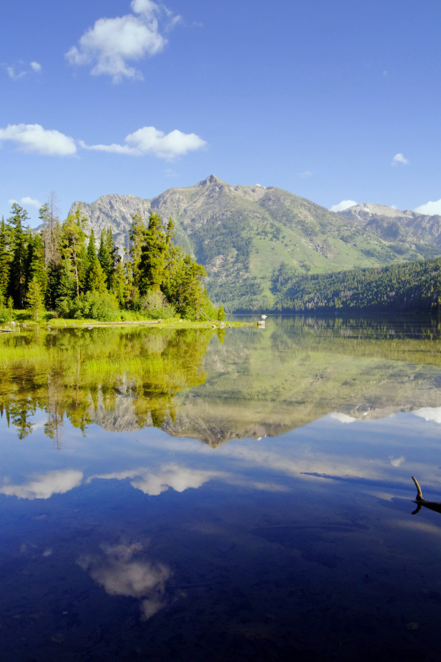 Живописная природа у горного озера 