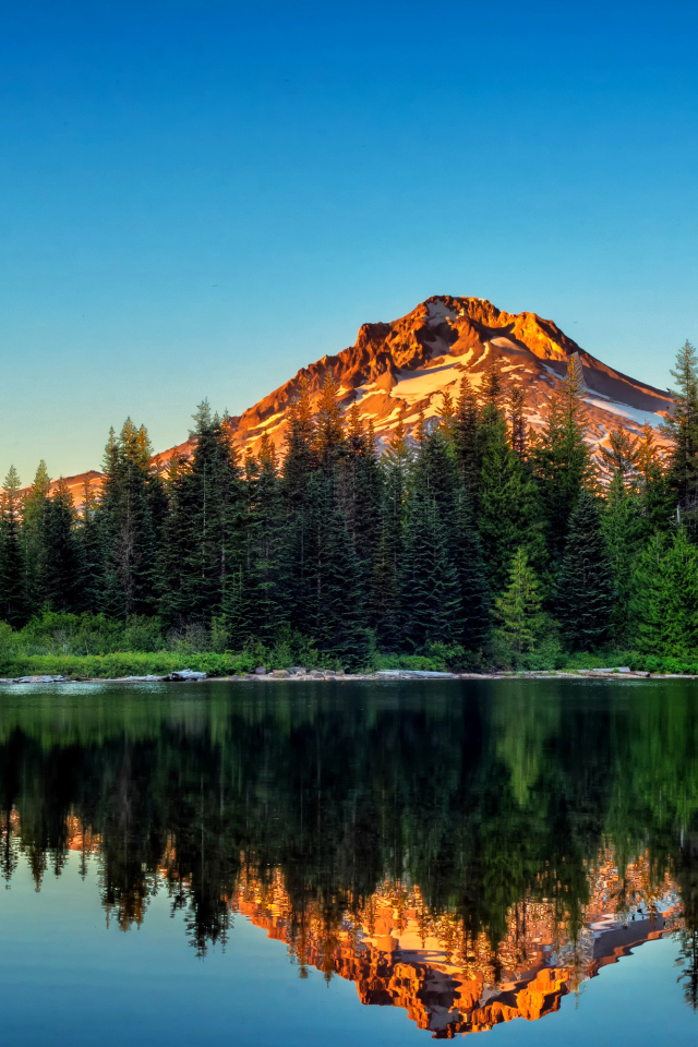 Сосновый лес и гора отражаются в воде, Йосемитский национальный парк. Калифорния 