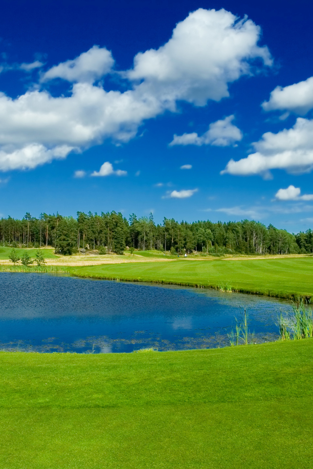 Пруд в парке у зеленого газона на фоне голубого неба