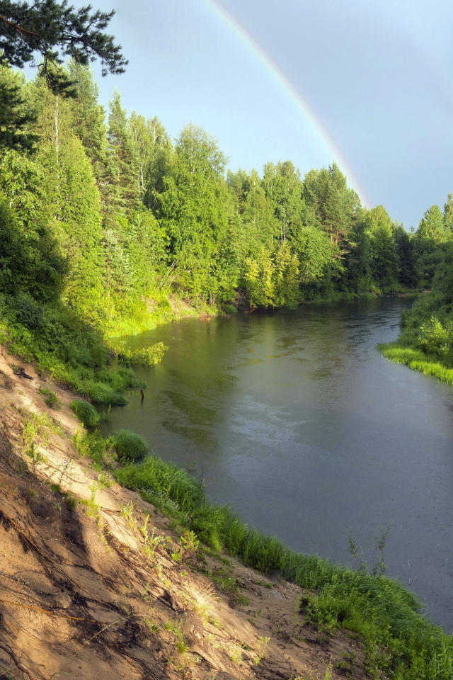Радуга над рекой в зеленом лесу 