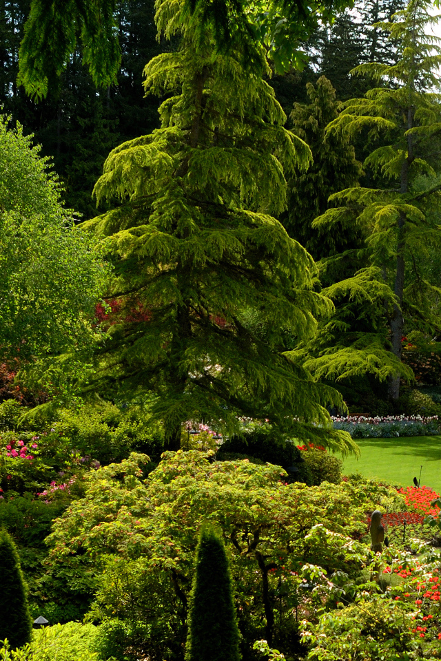 Живописный зеленый парк Канады