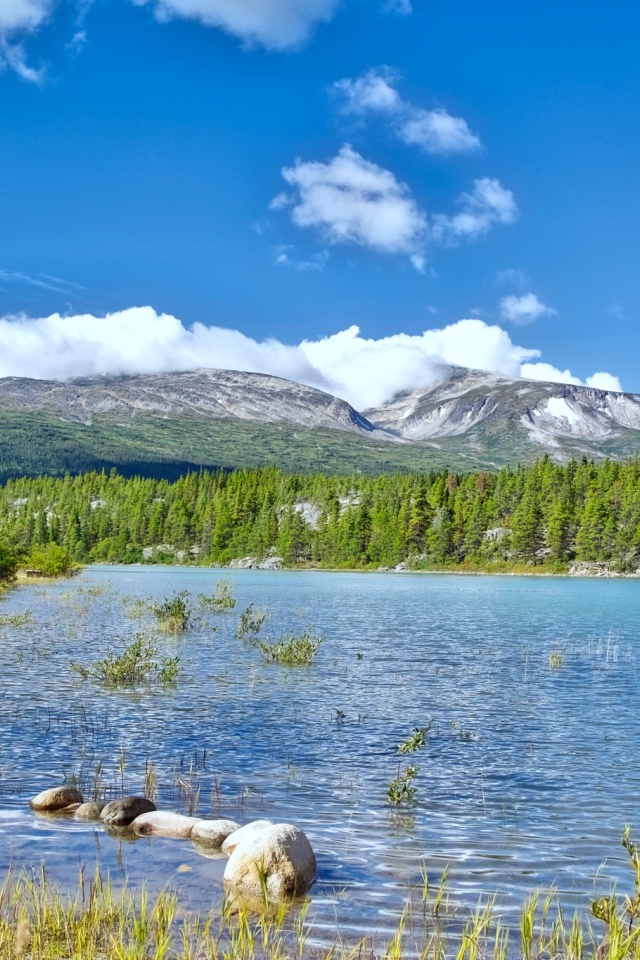 Летний пейзаж природы Аляски 