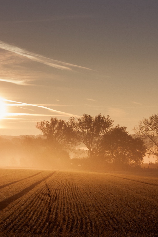 Восход солнца и туман над полем 