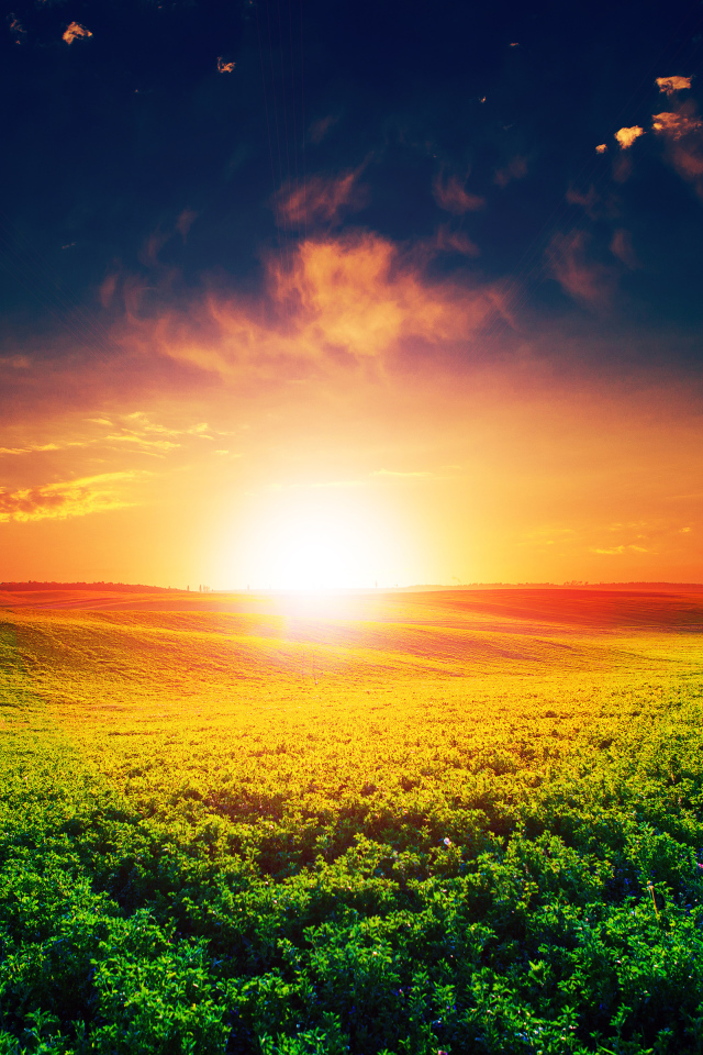 Восход яркого летнего солнца над полем