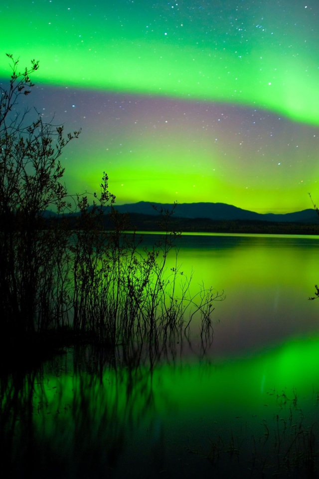 Зеленое северное сияние отражается в воде пруда