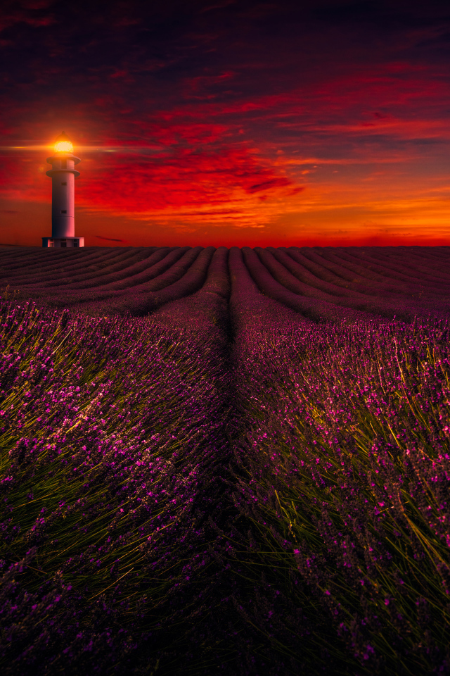 Маяк освещает лавандовое поле под красивым небом
