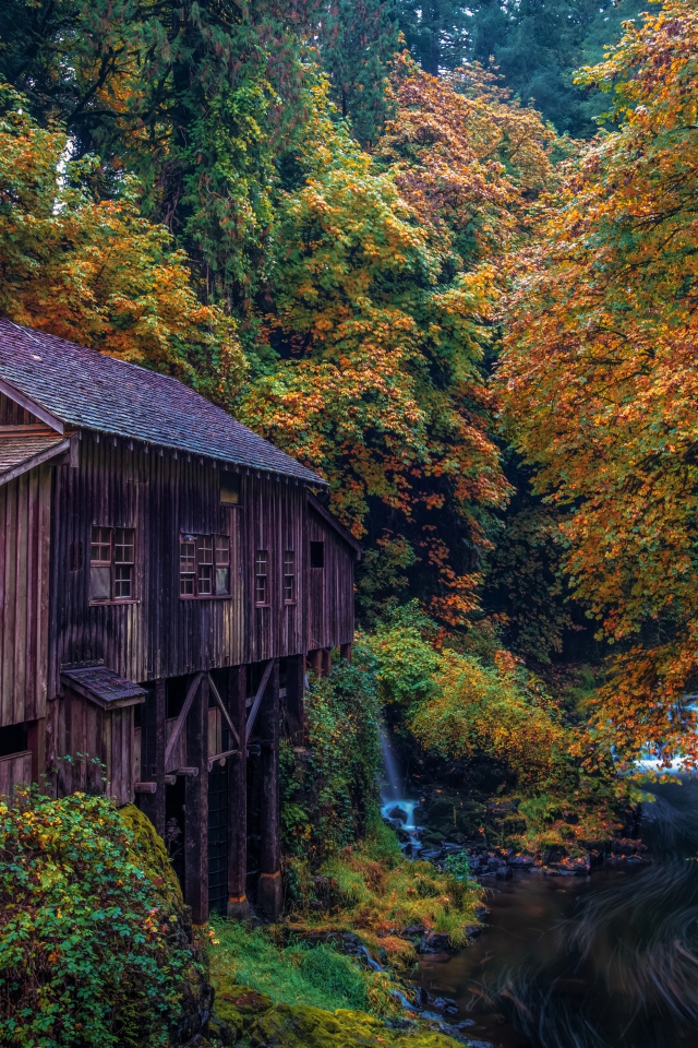 Водяная мельница в осеннем лесу