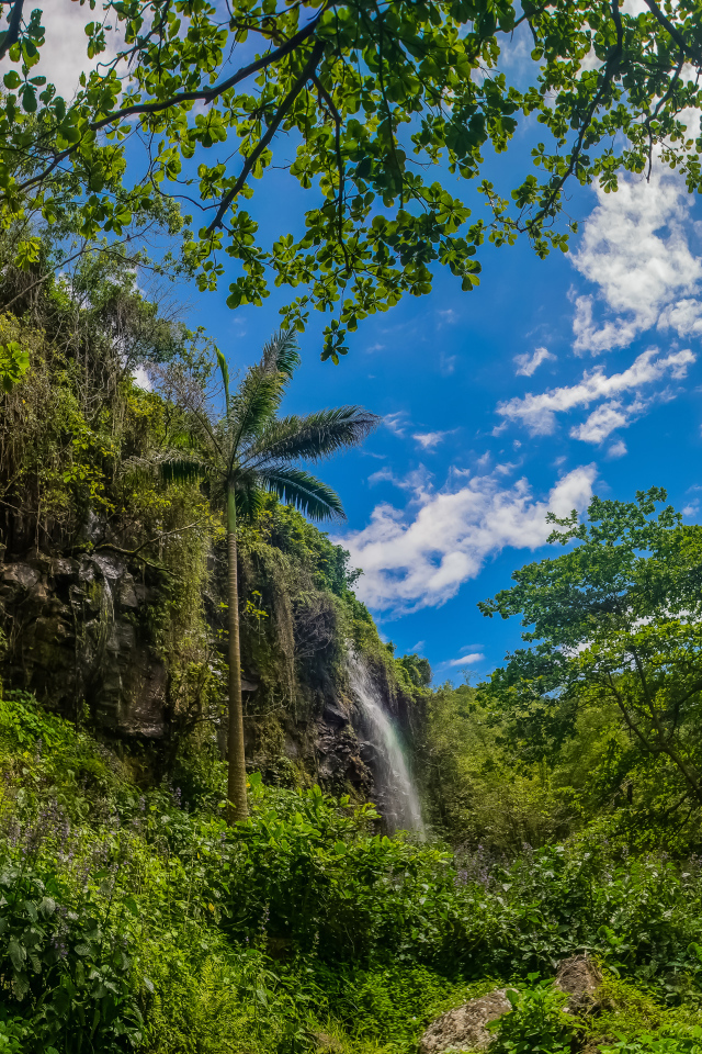 Водопад в тропическом лесу на фоне голубого неба 