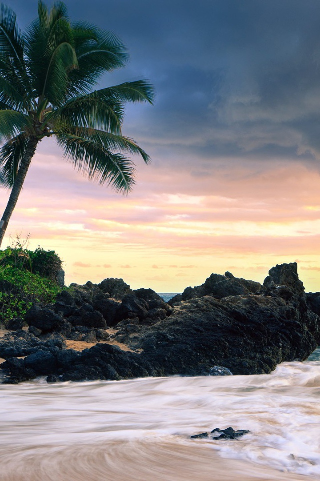 Красивый зеленый пляж 