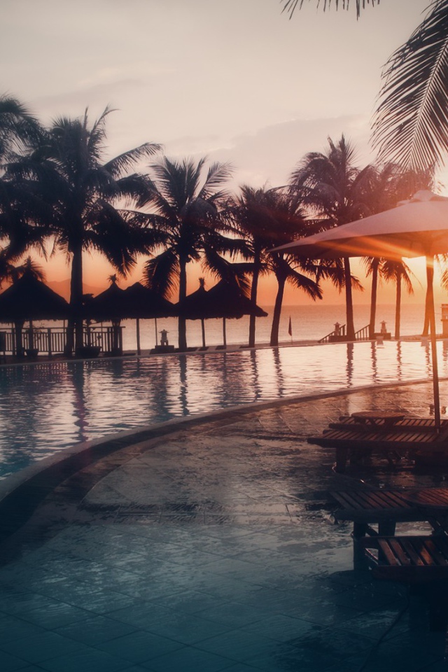 Пальмы у бассейна на пляжном курорте  