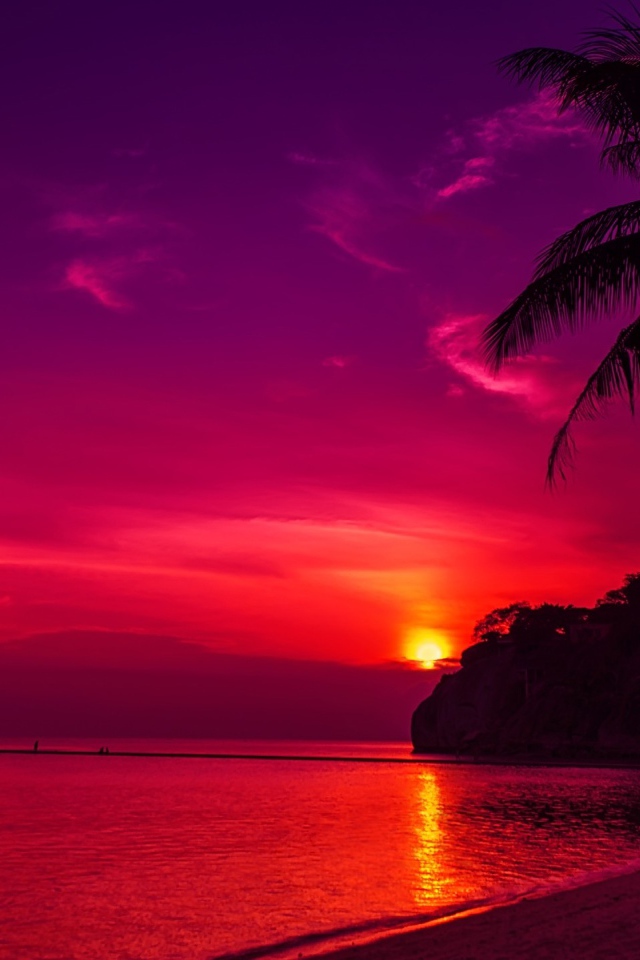 Пальмы на пляже под розовым закатом 