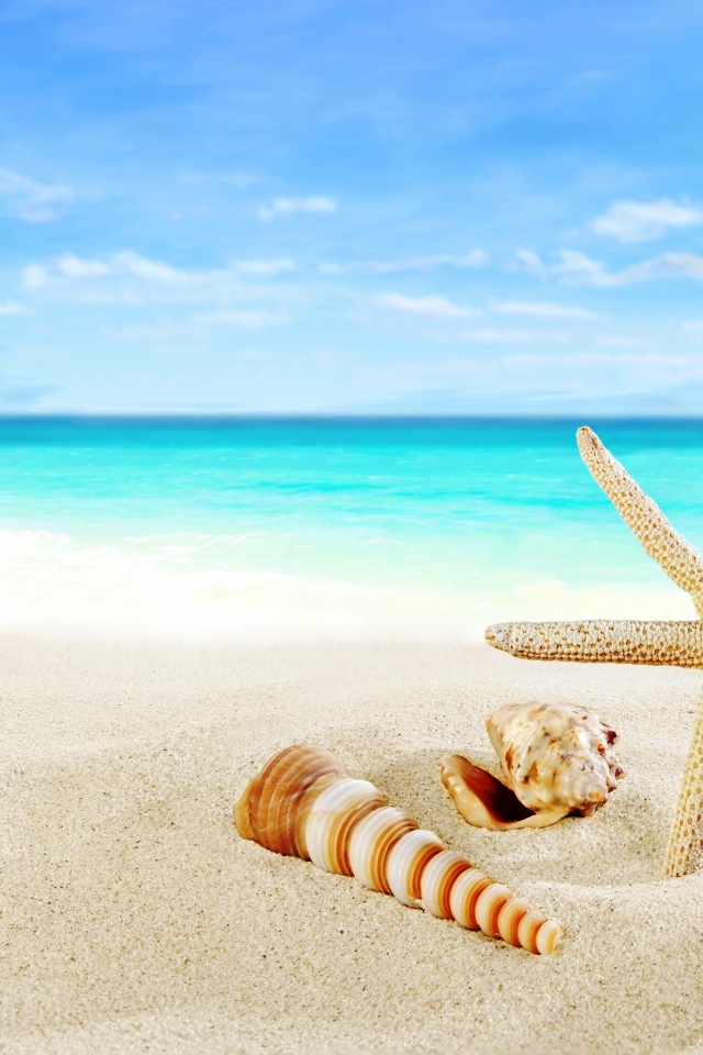 Ракушки и зонт на тропическом пляже