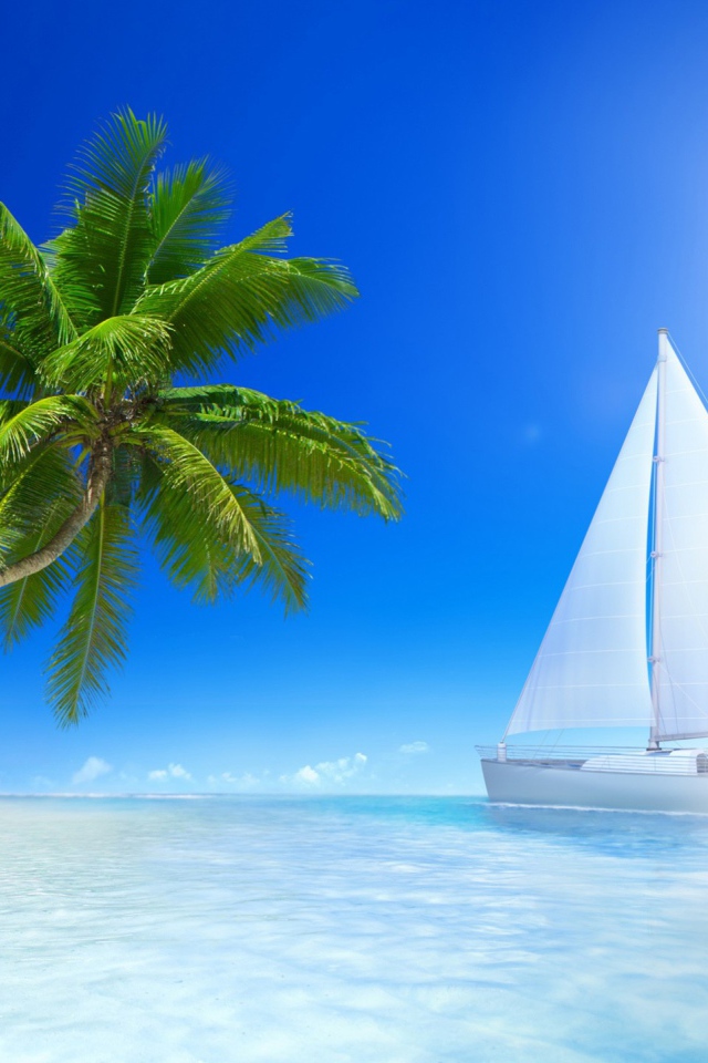 Белые парусники под солнцем у пляжа 