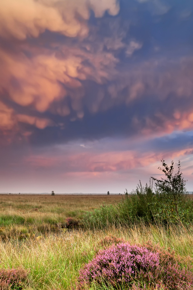 Красивые низкие облака в небе над полем