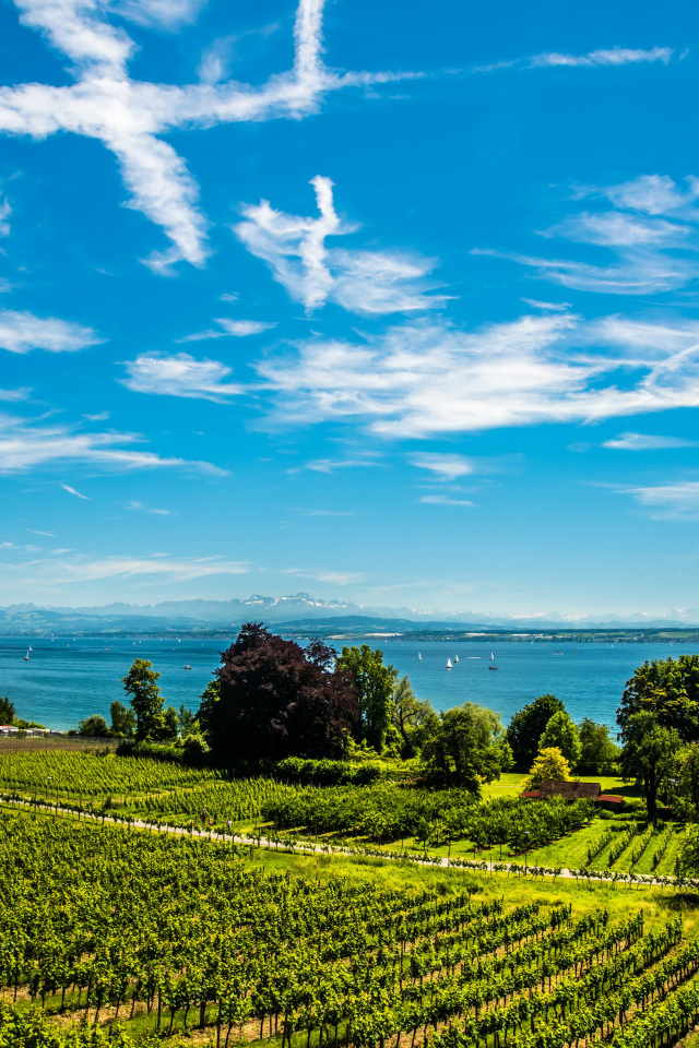 Красивые белые облака в небе над полем и озером