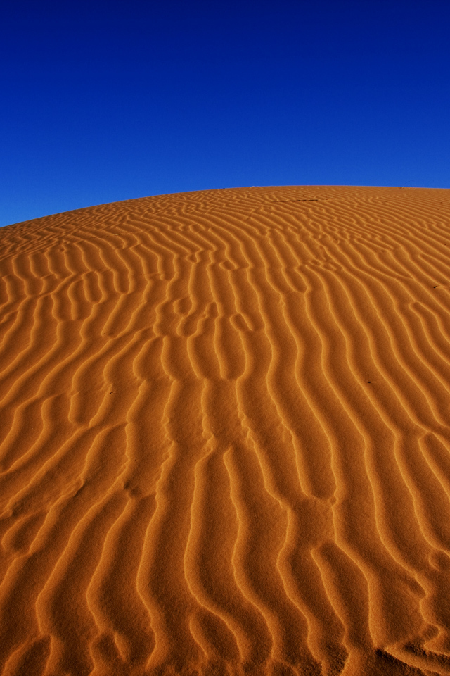 Пустыня Сахара под красивым голубым небом