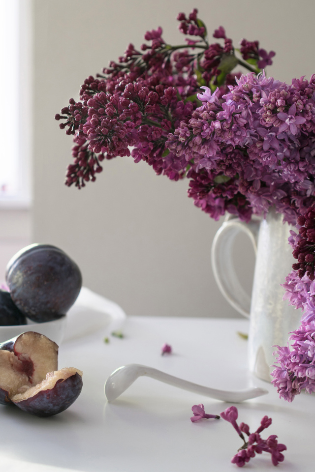 Красивый букет сирени в белой вазе на столе со сливами