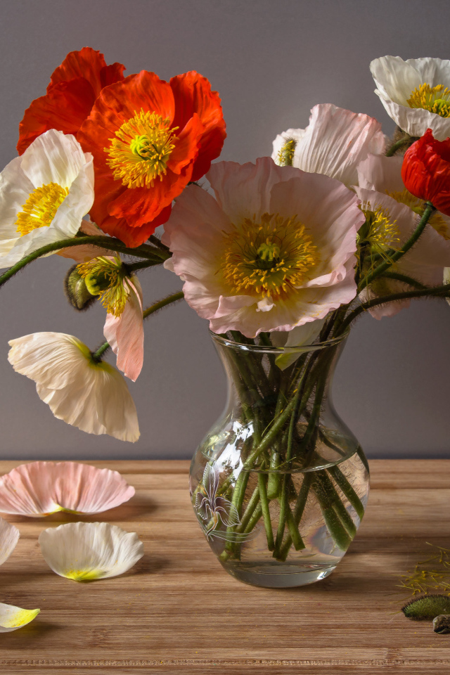 Букет крупных красивых маков в прозрачной вазе