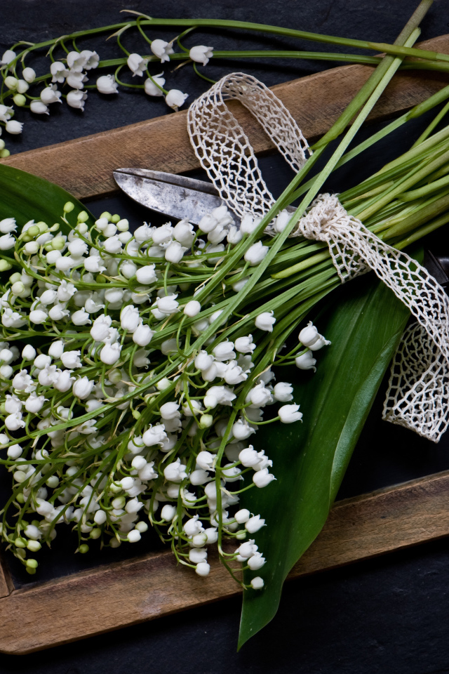 Букет белых ландышей с ножницами на столе