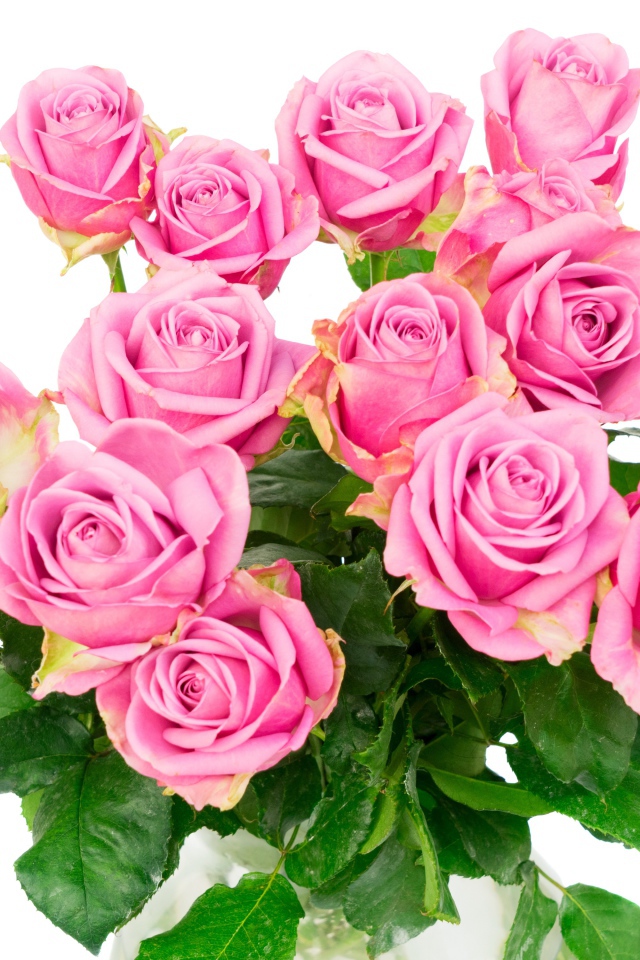 Красивый большой букет розовых роз на белом фоне