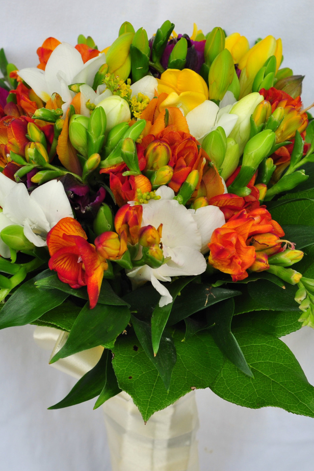 Красивый букет фрезий на сером фоне