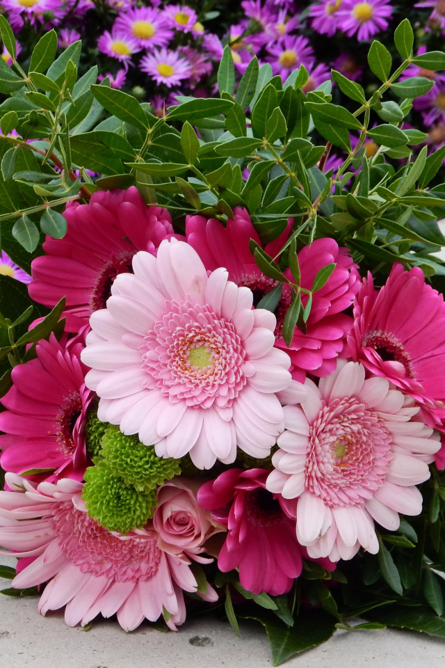 Красивый букет розовых гербер 