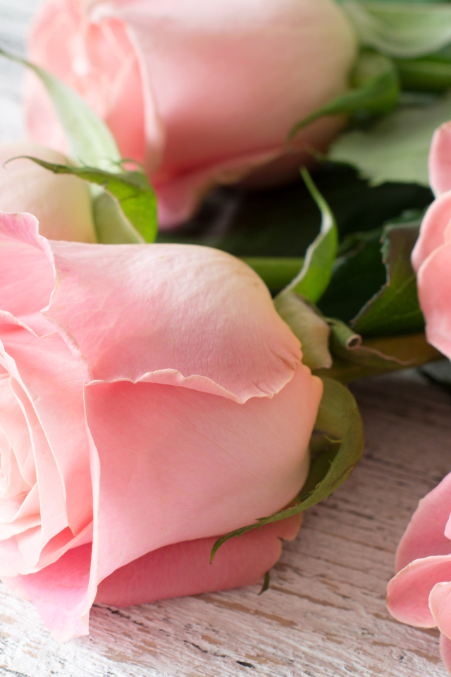 Красивый букет розовых роз крупным планом