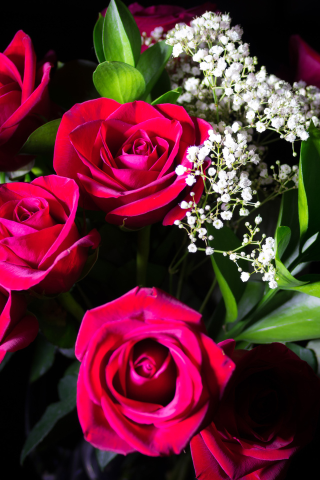 Красивый букет красных роз на черном фоне