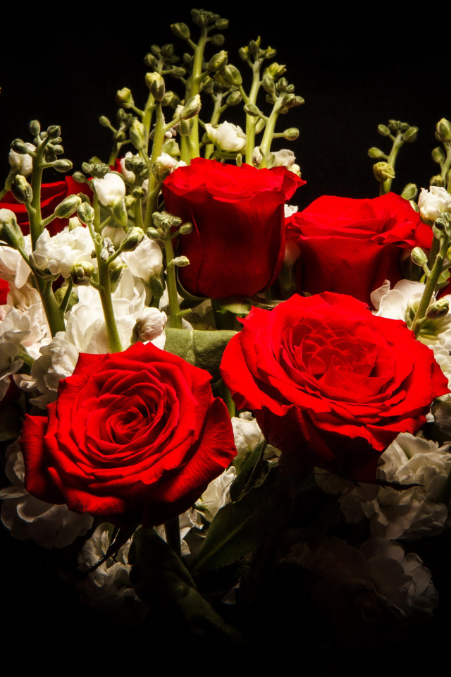 Красивый букет роз с левкой на черном фоне 