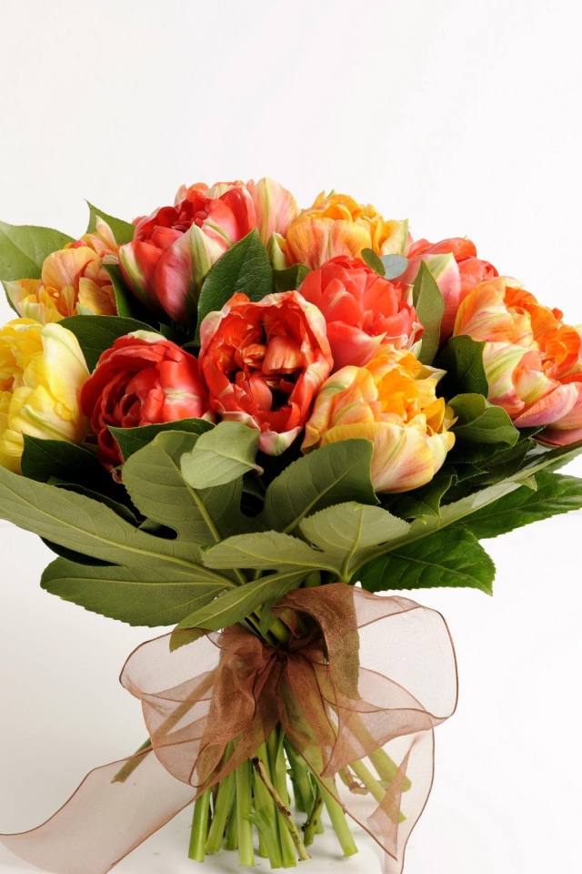 Красивый букет тюльпанов на белом фоне