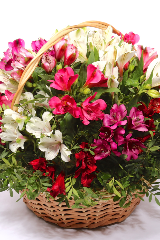 Букет цветов альстрёмерия в корзине на белом фоне