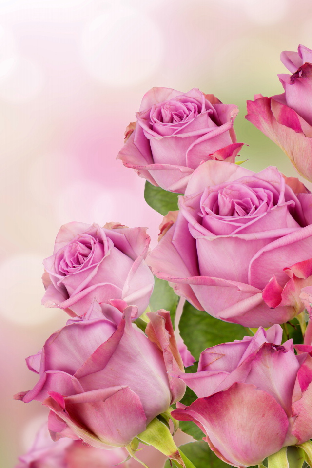 Букет красивых розовых роз 