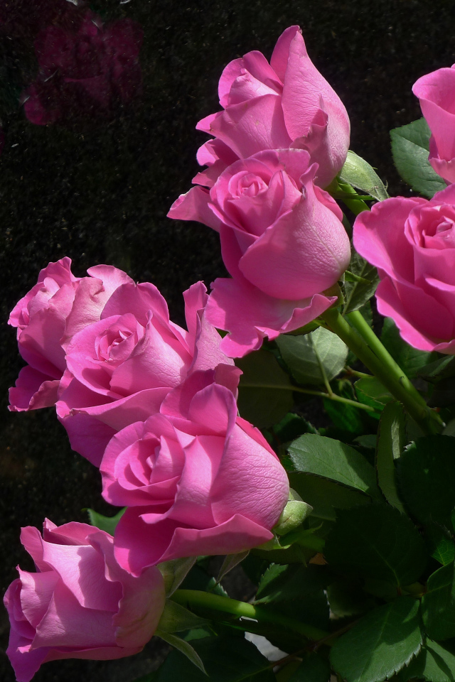 Букет красивых розовых роз крупным планом