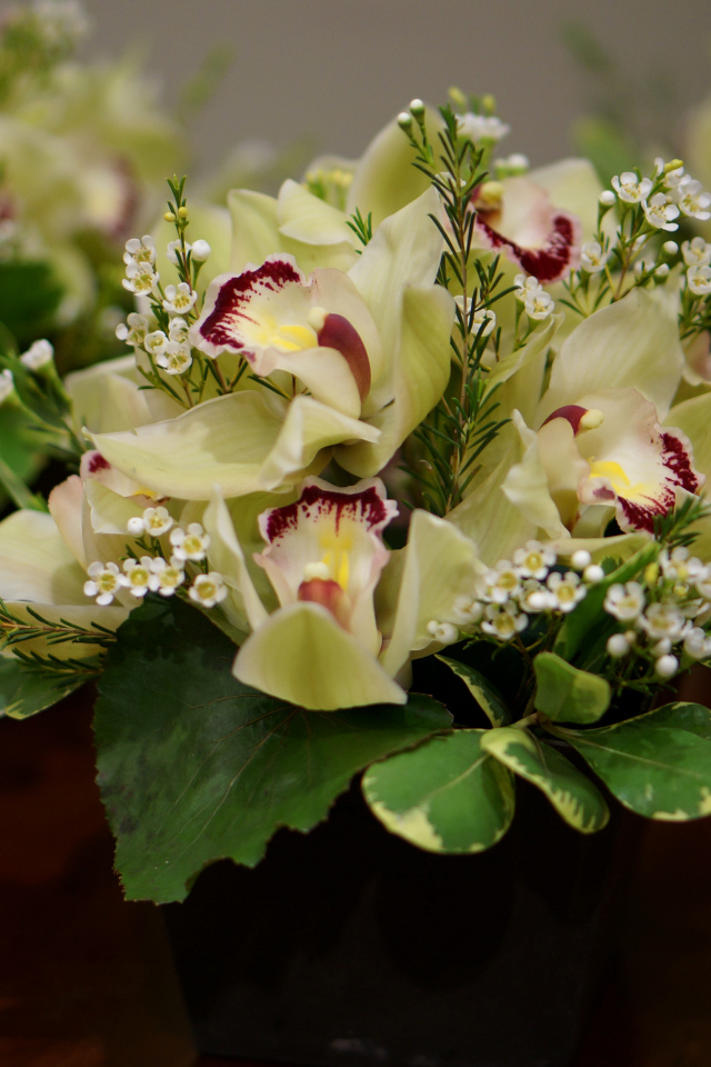 Букет нежной орхидеи и морозника