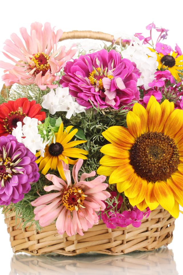 Букет цветов цинии, рудбекии и подсолнуха в корзине на белом фоне