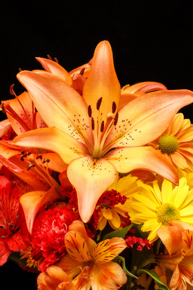 Букет разноцветных лилий на черном фоне 