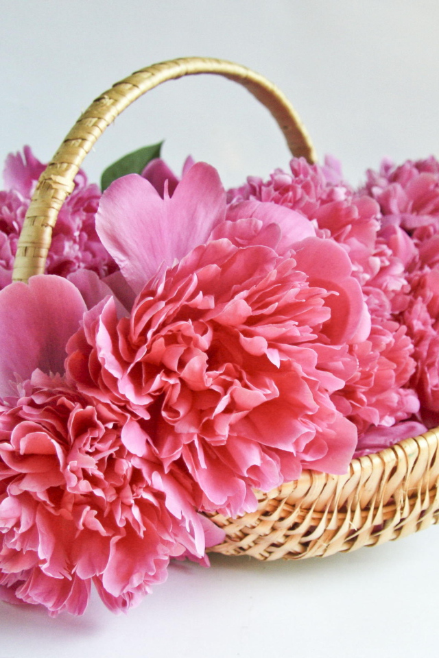 Букет розовых пионов в корзине 