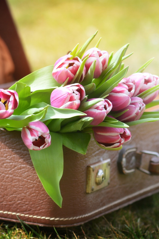 Букет розовых тюльпанов в кожаном чемодане